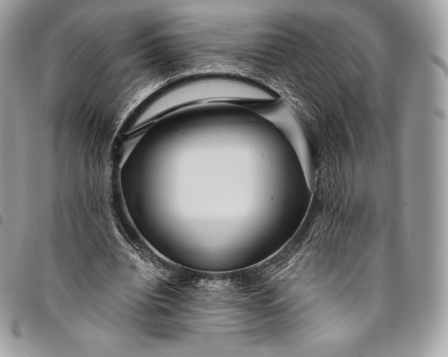 X0000095110440200712211324