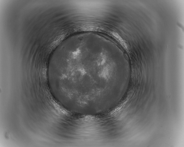 X0000095110441200712211324