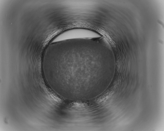 X0000095110442200712211324