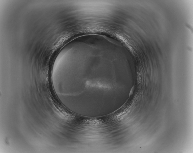 X0000095110443200712211324