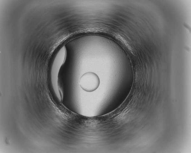 X0000095110444200712211324