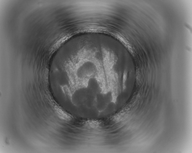 X0000095110445200712211324