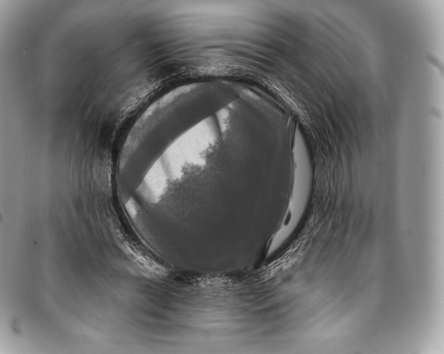 X0000095110446200712211324