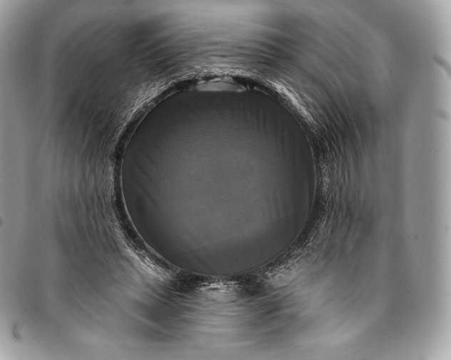 X0000095110447200712211324