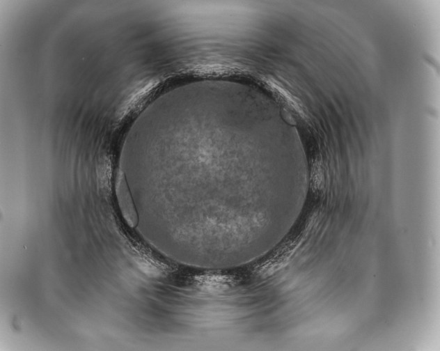 X0000095110448200712211324