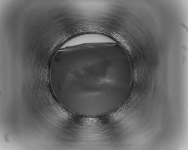 X0000095110449200712211324