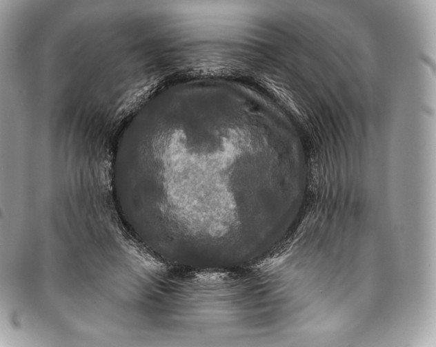 X0000095110450200712211324