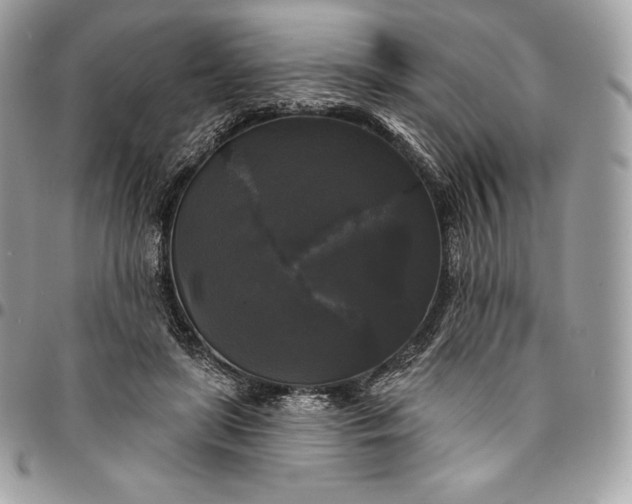 X0000095110451200712211324