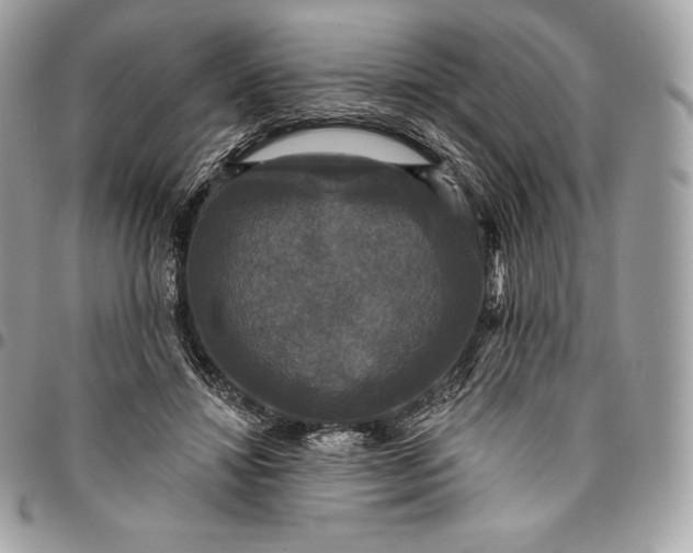 X0000095110452200712211324