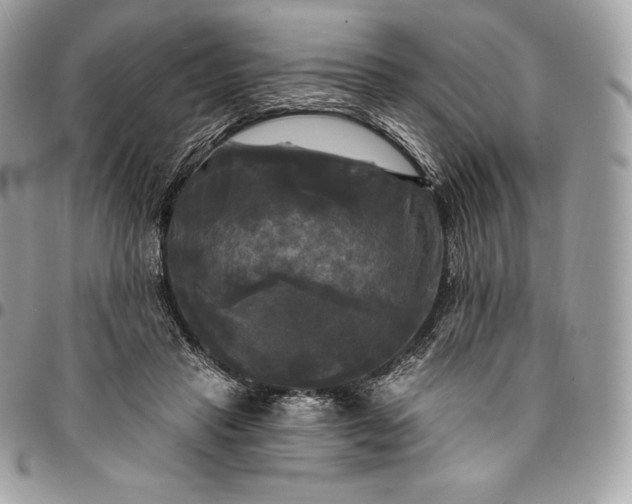 X0000095110453200712211324