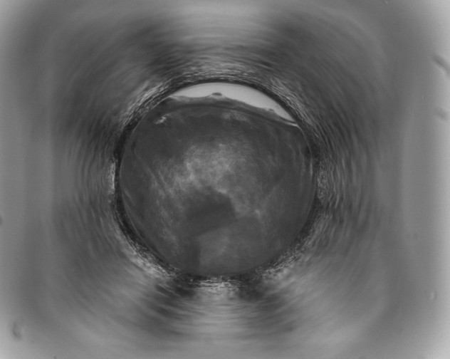 X0000095110454200712211324