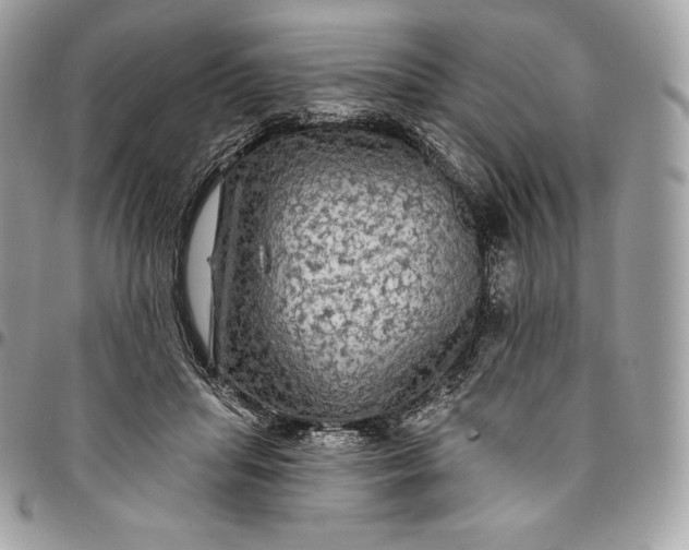 X0000095110455200712211324