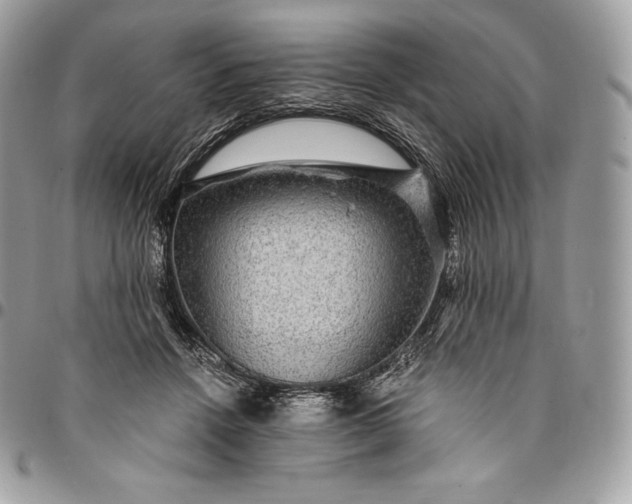 X0000095110456200712211324