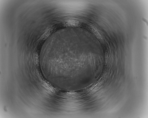 X0000095110457200712211324