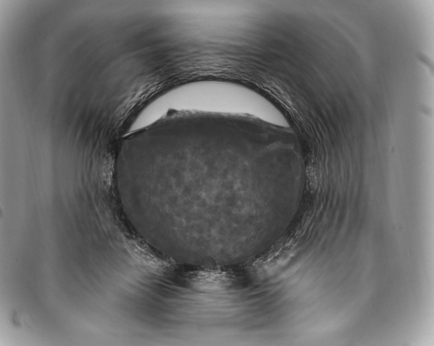 X0000095110458200712211324