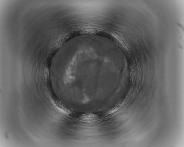 X0000095110459200712211324