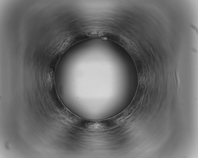 X0000095110460200712211324