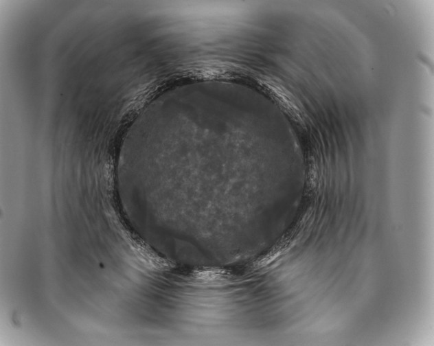 X0000095110461200712211324