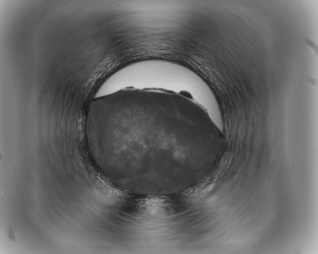 X0000095110462200712211324