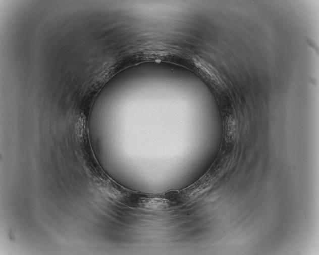 X0000095110463200712211324