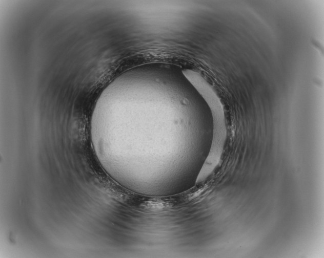 X0000095110464200712211324