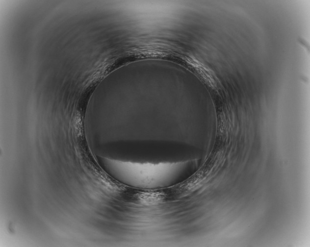 X0000095110465200712211324