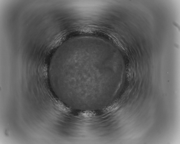 X0000095110466200712211324