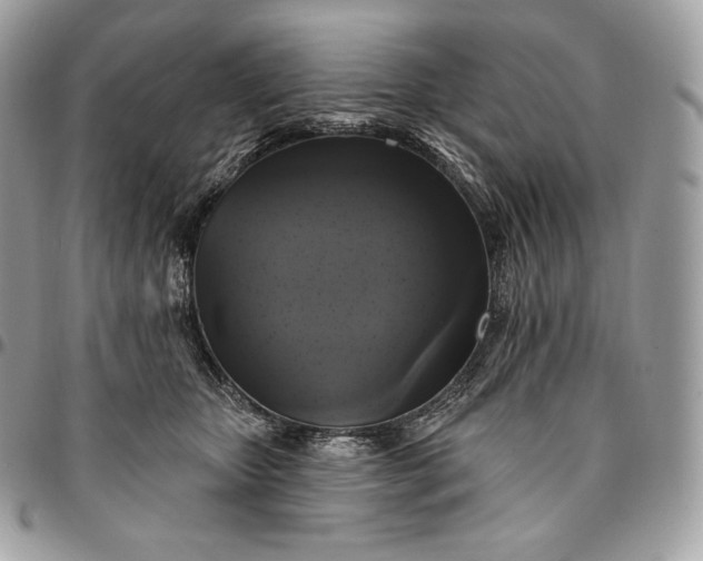 X0000095110467200712211324