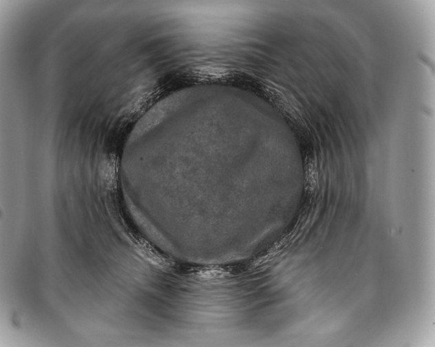 X0000095110468200712211324