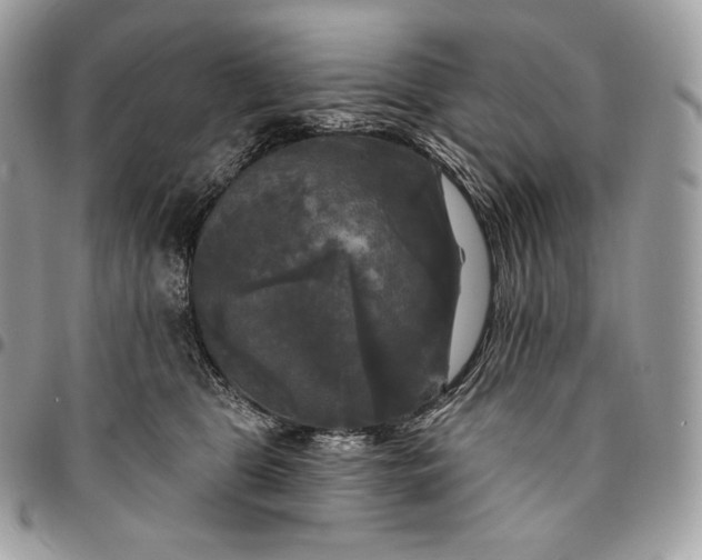 X0000095110469200712211324