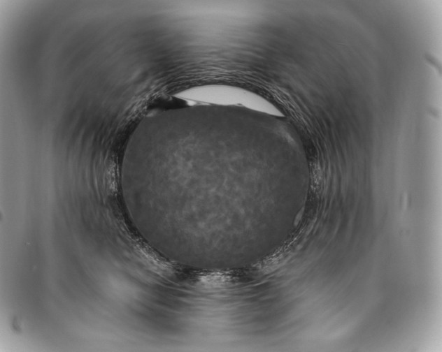 X0000095110470200712211325