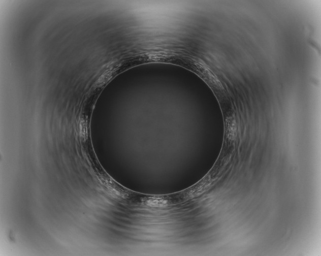 X0000095110471200712211325