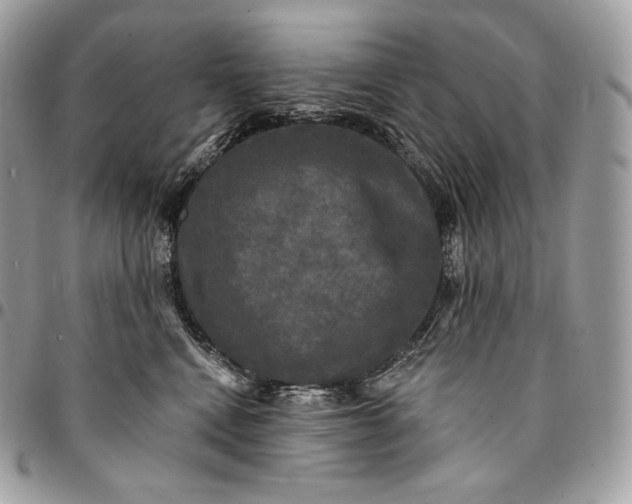 X0000095110472200712211325