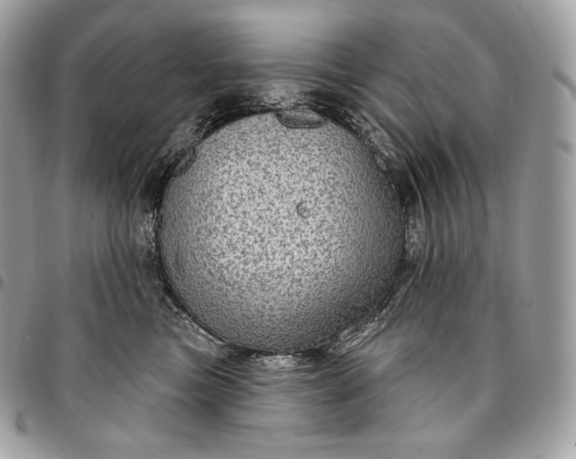 X0000095110473200712211325