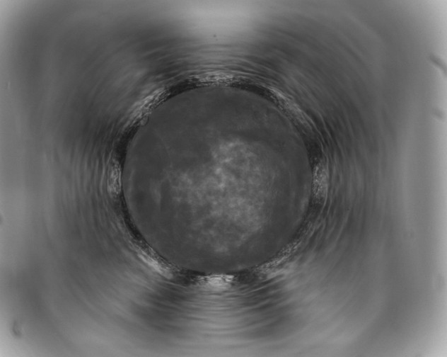 X0000095110474200712211325