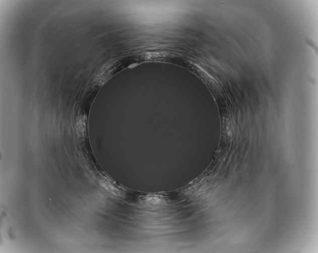 X0000095110475200712211325