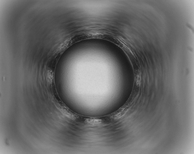 X0000095110476200712211325