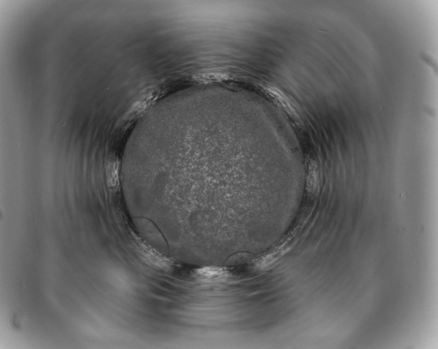 X0000095110477200712211325