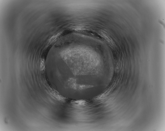 X0000095110478200712211325