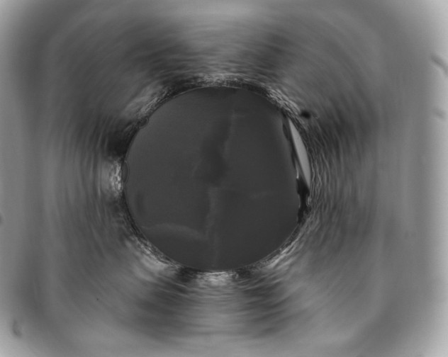 X0000095110479200712211325