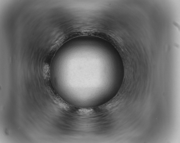 X0000095110480200712211325