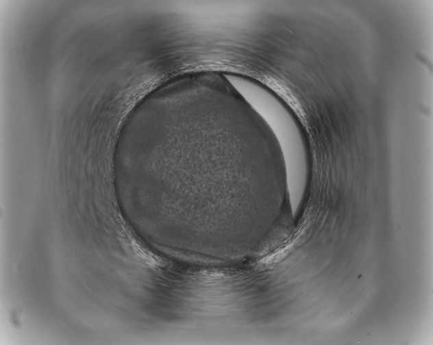 X0000095110481200712211324