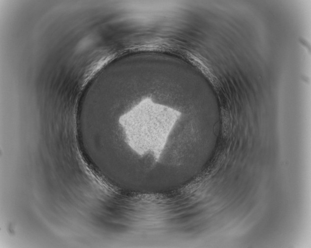 X0000095110482200712211324