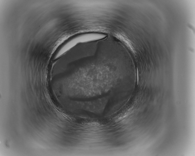 X0000095110483200712211324