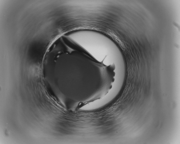 X0000095110484200712211324