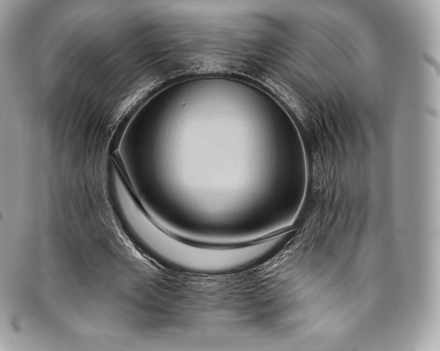 X0000095110485200712211324