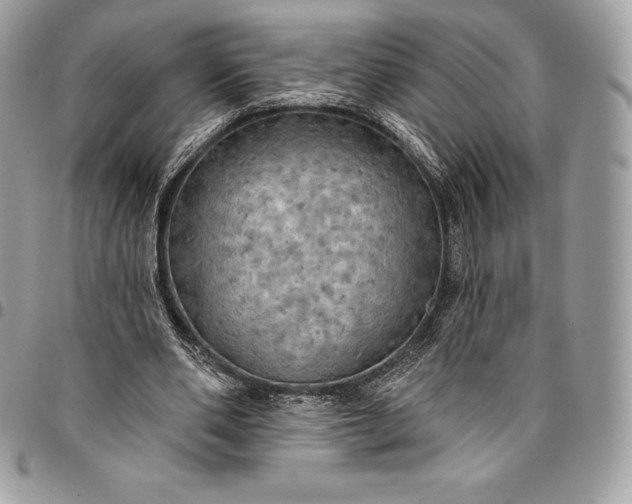 X0000095110486200712211324