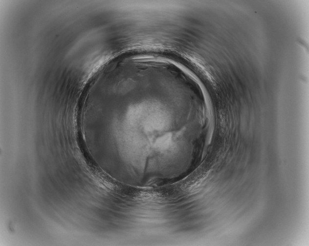 X0000095110487200712211324