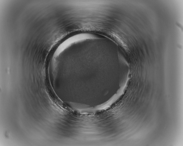 X0000095110488200712211324