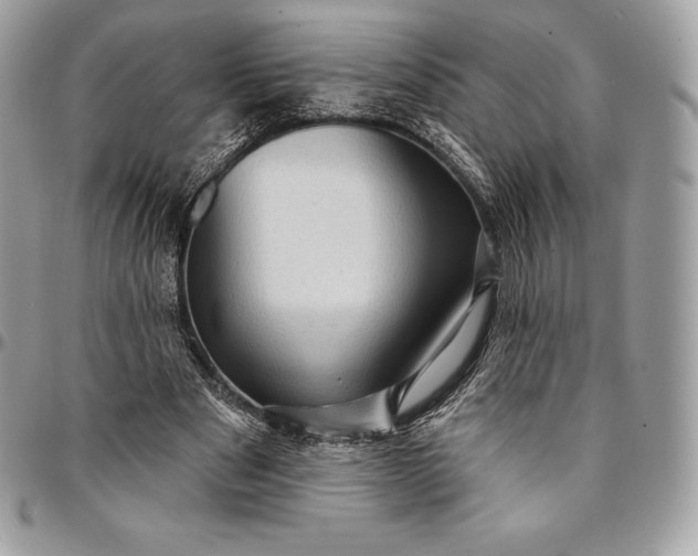 X0000095110489200712211324